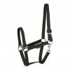 Kantar STLT - Harry's Horse
